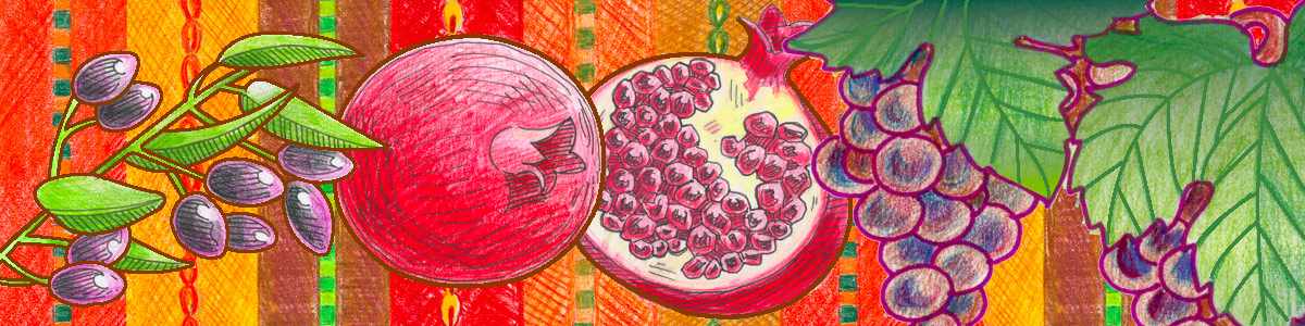 sketched illustration of pomegranates and grapes