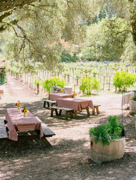 picnic tables in a clearing beside the vineyard