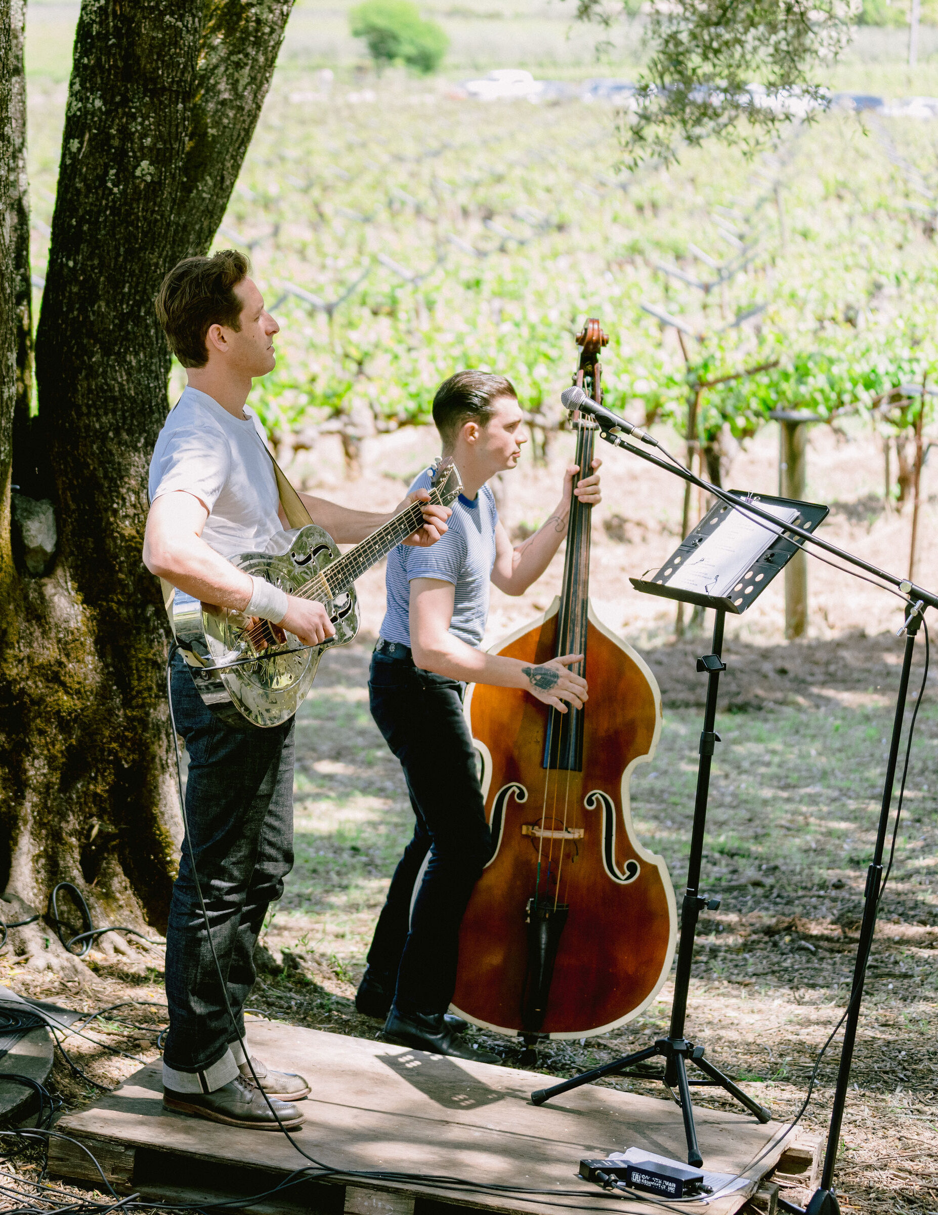 Guitarist and bass player playing in vineyard